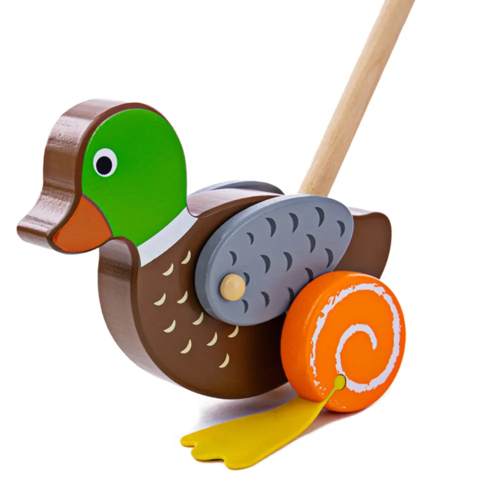 Big Jigs Push Along Duck