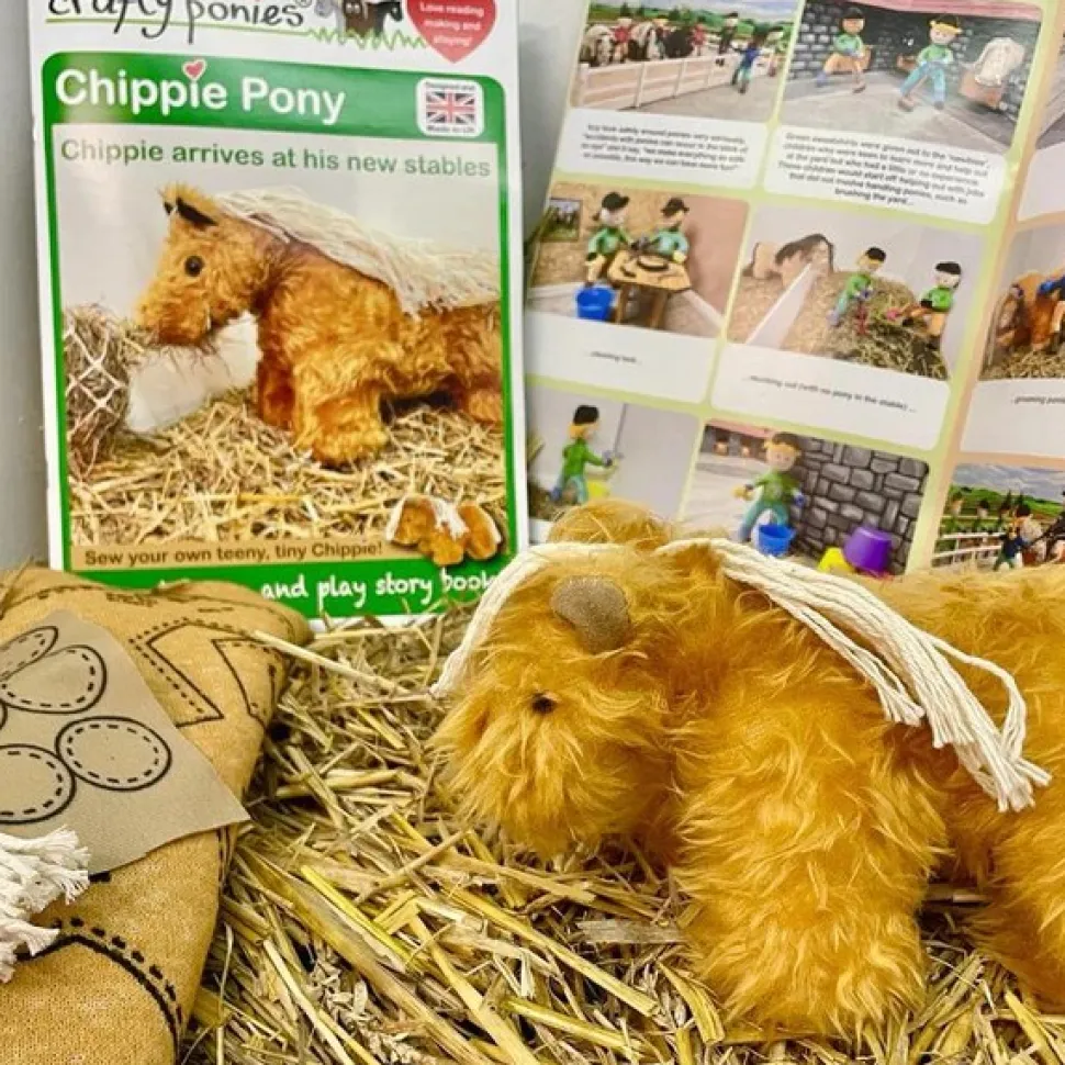 Crafty Ponies Chippie Pony to Make with a Story about moving stables.