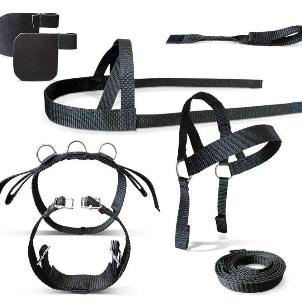 Crafty Ponies Driving Harness inc Booklet